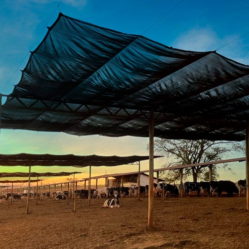 Telas agrícolas Sombrax