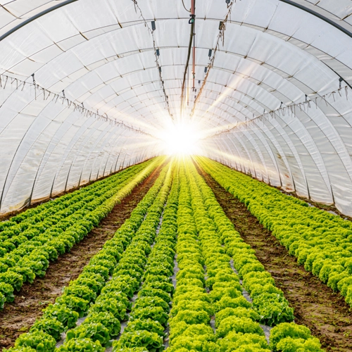 Filmes agrícolas