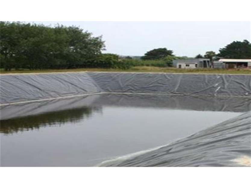 Tanques de lona para criação de peixes -1